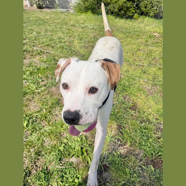 Photo of Barney