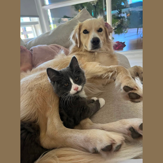 Photo of Lulu And Huey