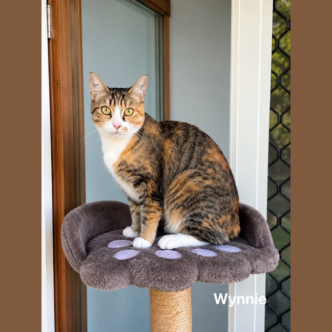 Photo of Wynnie