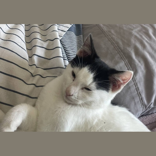 Photo of Scallywag