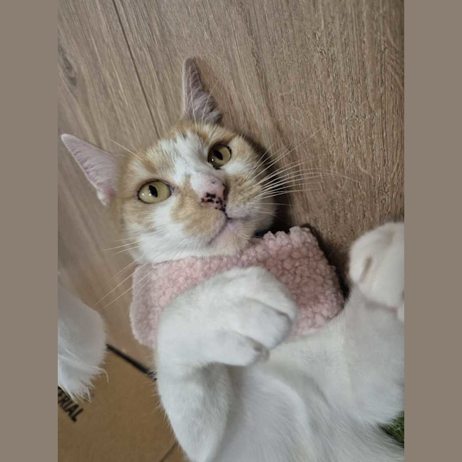 Photo of Isla