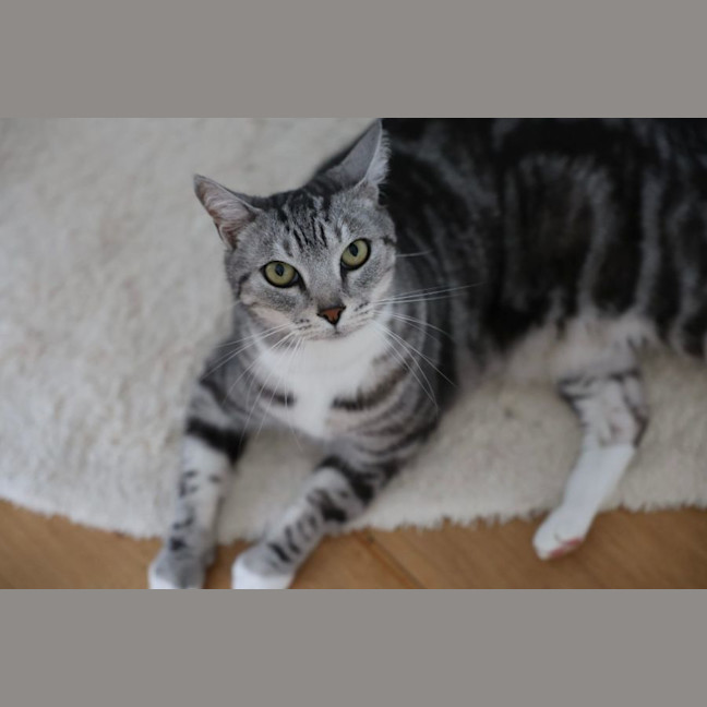 Photo of Mr. Affectionate 