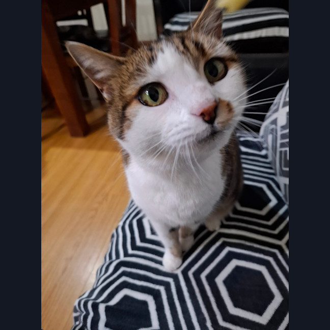 Photo of Little Girl