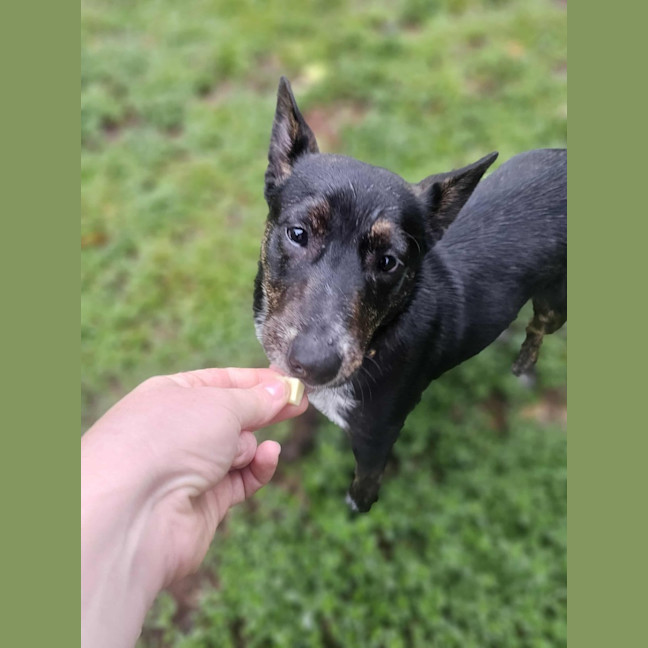 Photo of Matilda