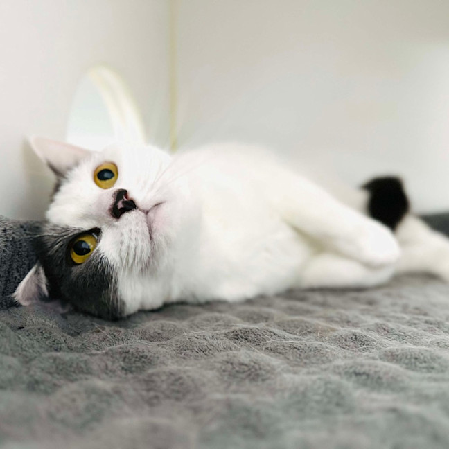 Photo of Coraline   Located In Preston