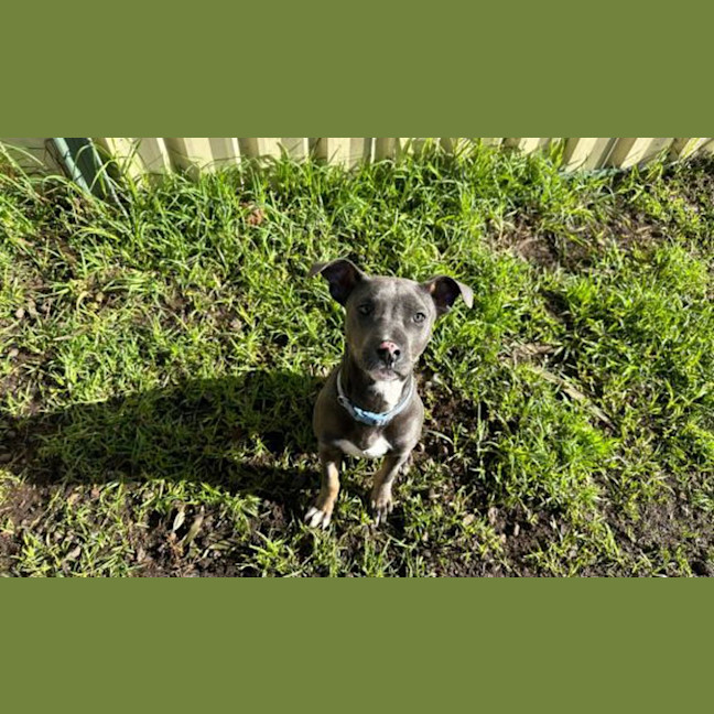 Photo of Winnie