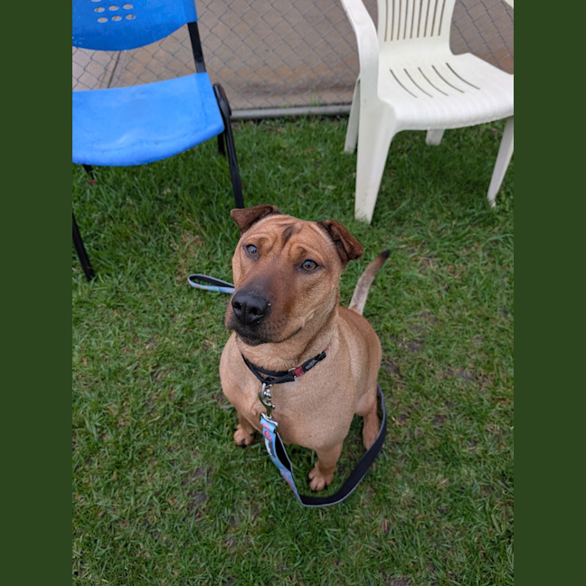 Photo of Luna 