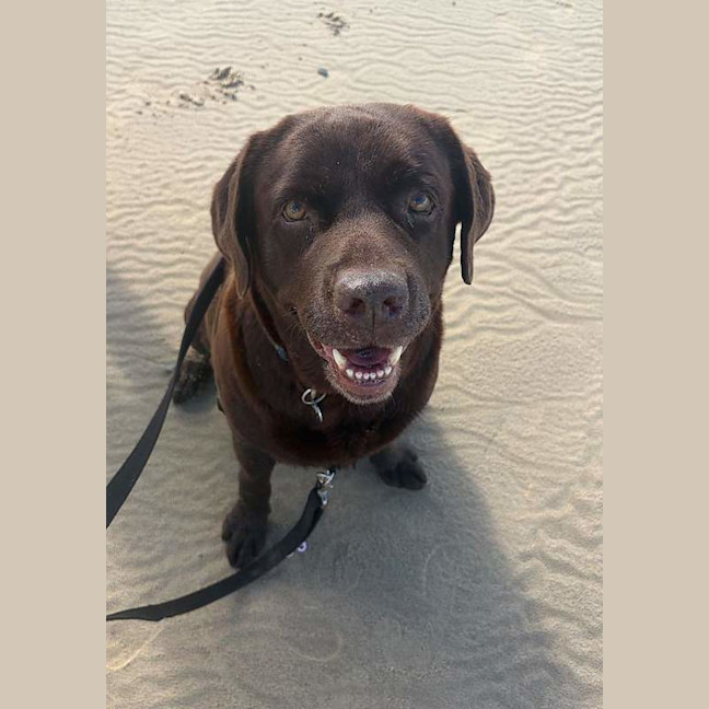 Photo of Coco