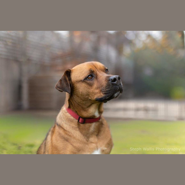 Photo of Skye Peggotty