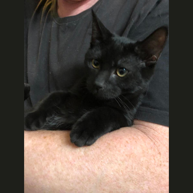 Photo of Billy And Zamora