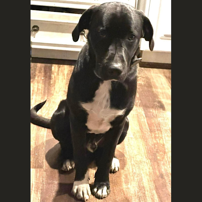 Photo of Murphy