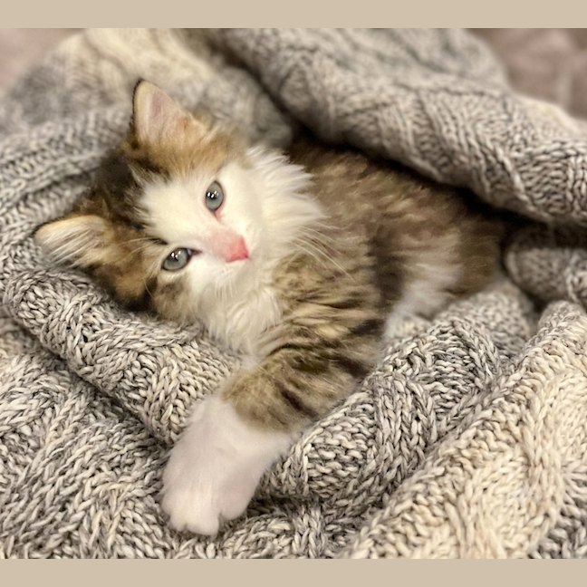 Photo of Moo