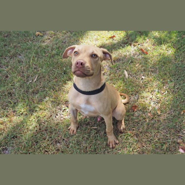 Photo of Melvin