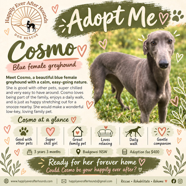 Photo of Cosmo