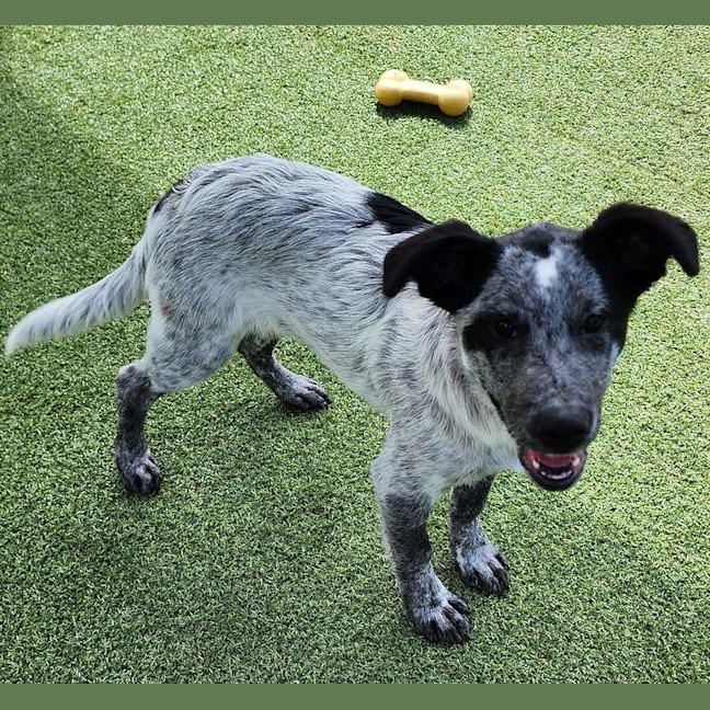 Photo of Betty