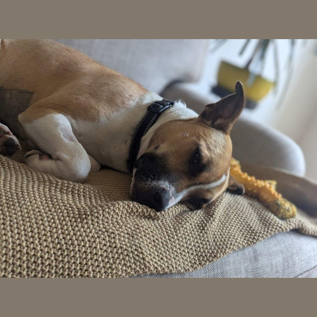 Photo of Rosemary Kumara