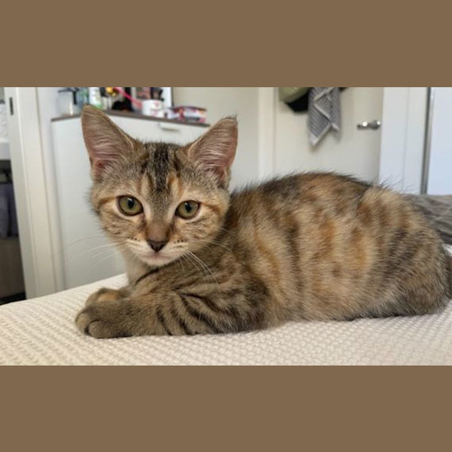 Photo of Big Sister