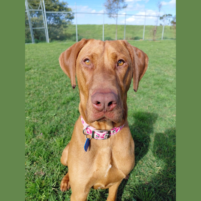 Photo of Cleo