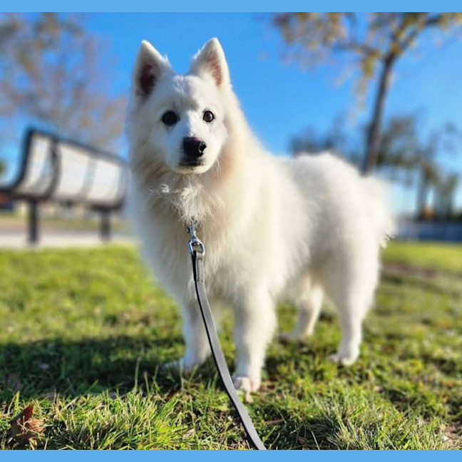 Photo of Noah