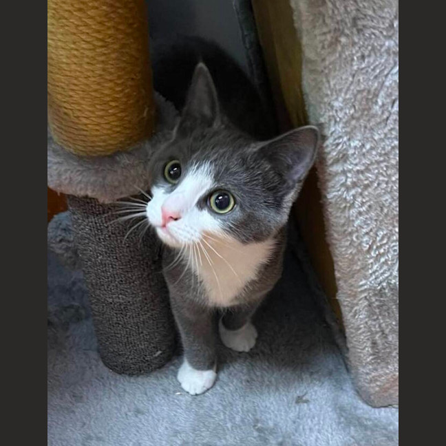 Photo of Dimitri