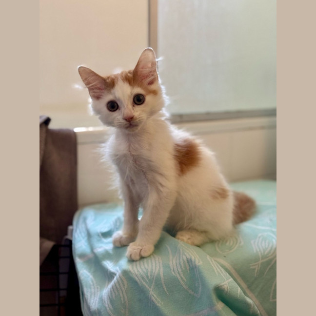 Photo of Bug