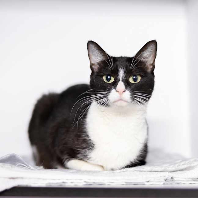 Photo of Lady Macbeth