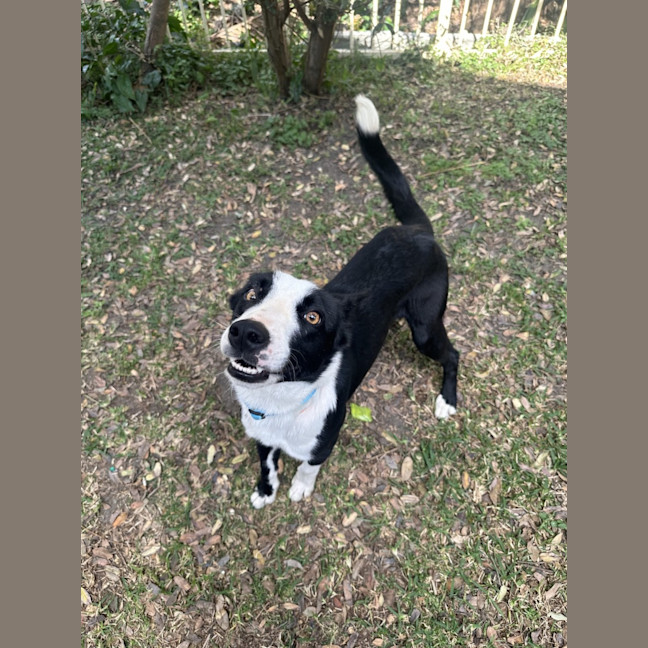 Photo of Jacko