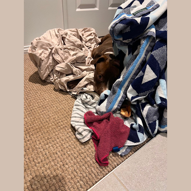 Photo of Peggy