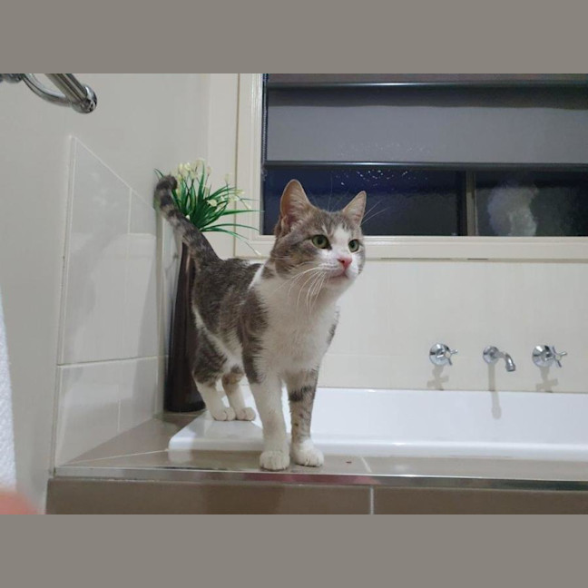 Photo of Chester Kumara