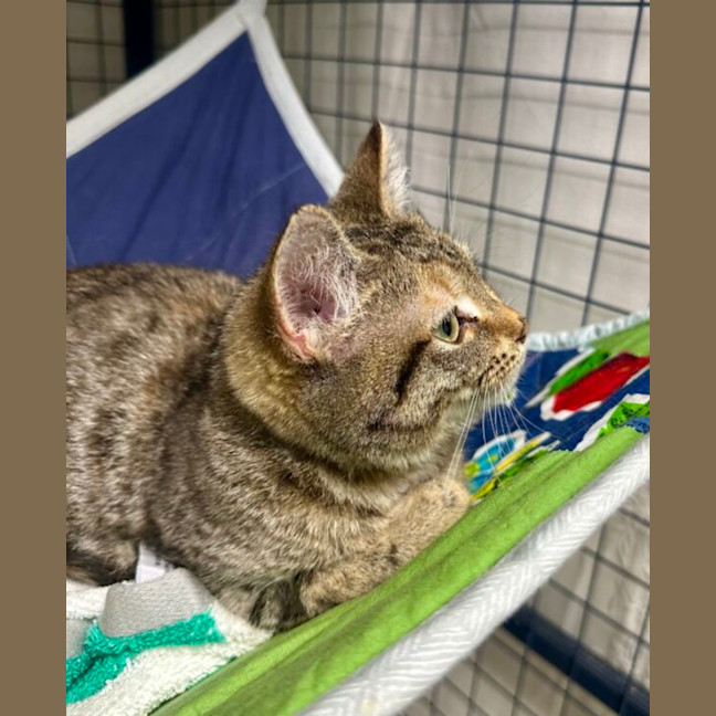 Photo of Monte Carlo