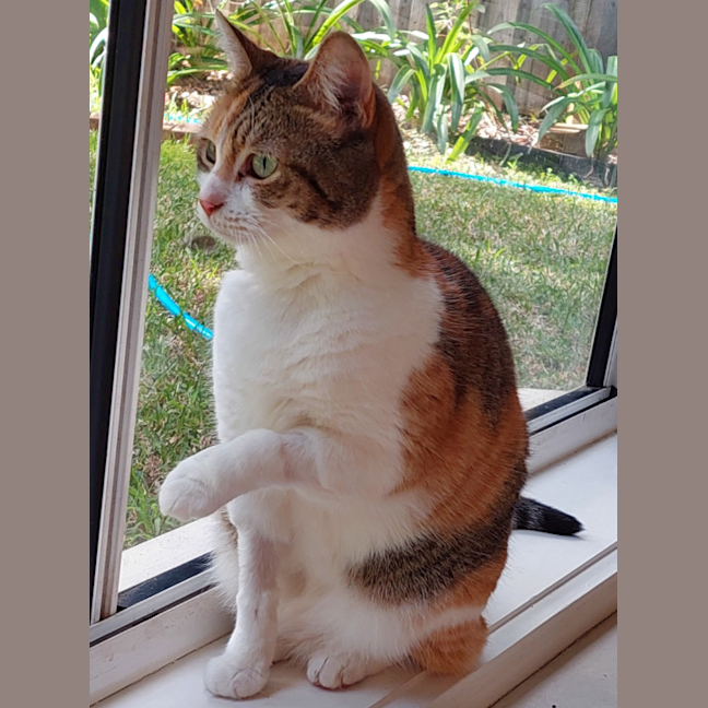 Photo of Princess