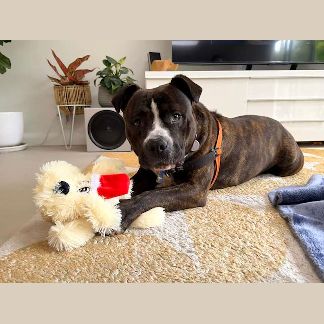 Photo of Sugar