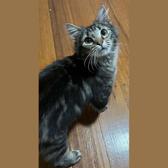 Photo of Jemima