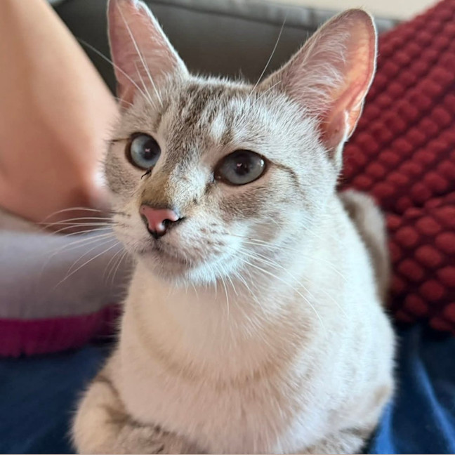 Photo of Sassy