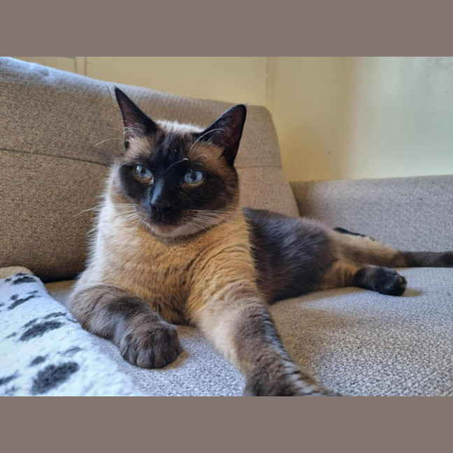 Photo of Frankie & Freddy   Located In Preston