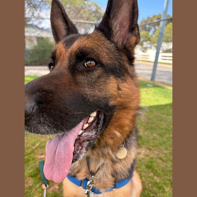 Photo of Kaiser