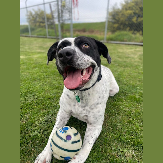 Photo of Jackie Chan