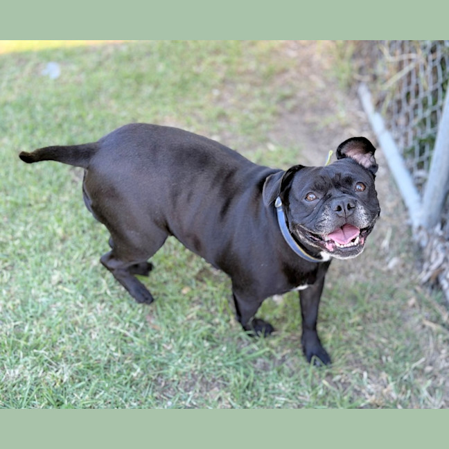 Photo of Lucy 