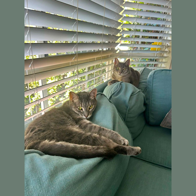 Photo of Patty & Selma