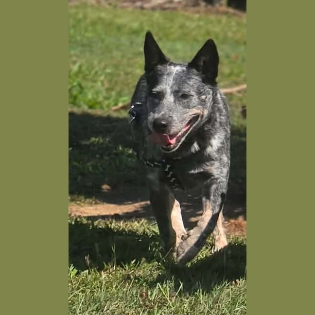 Photo of Bo 