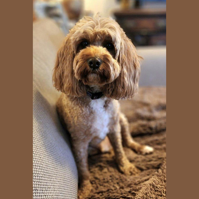 Photo of Winston Quinell