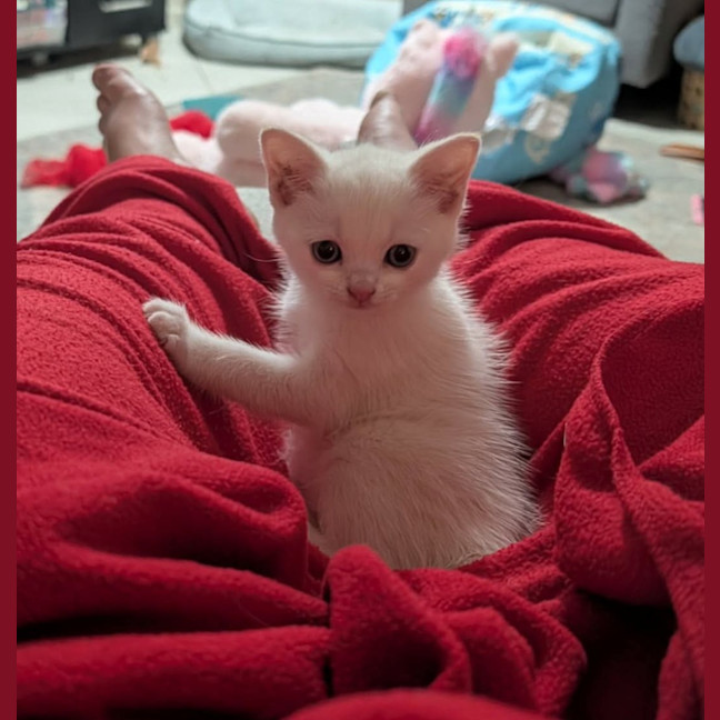 Photo of Jenny
