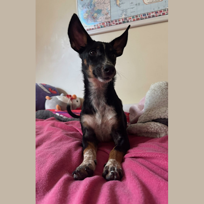 Photo of Tammy