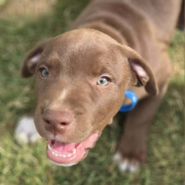Photo of Slinky