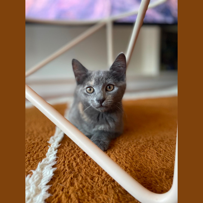 Photo of Hilary   Located In Surrey Hills