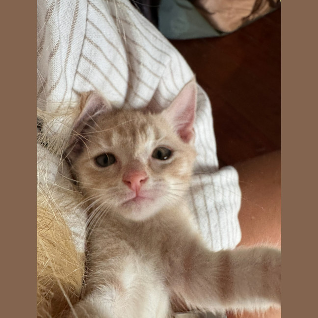 Photo of Peter Rabbit 