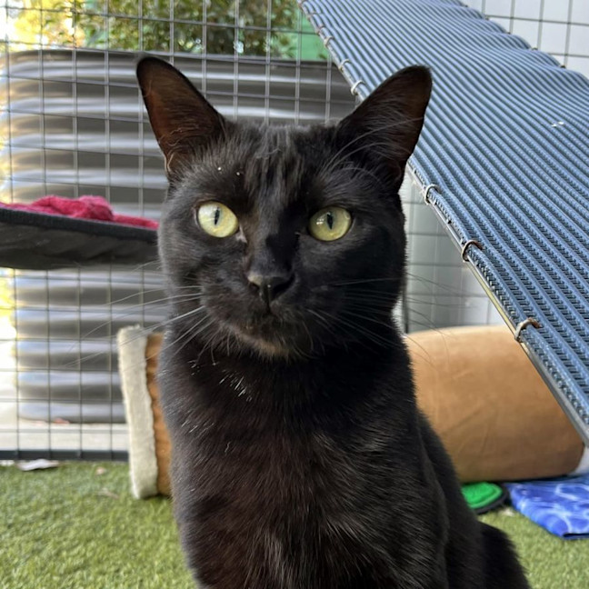 Photo of Faith Sta011629