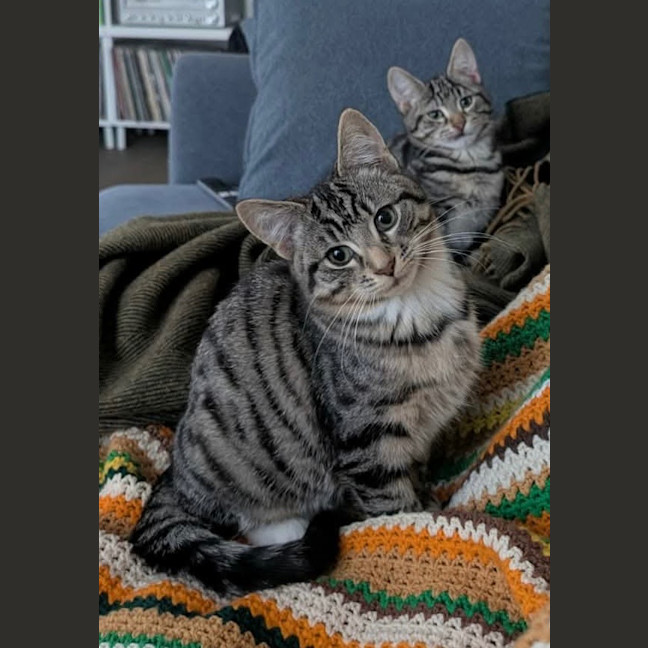 Photo of Stout
