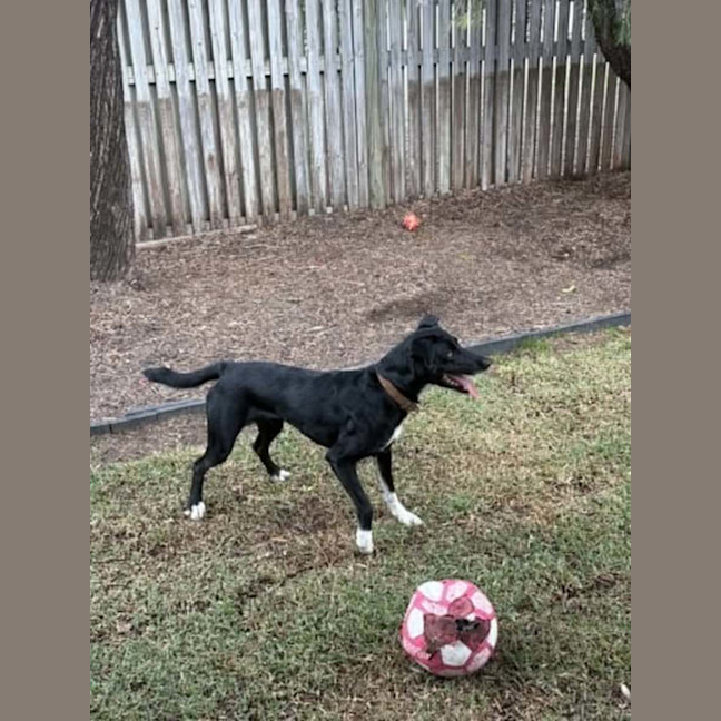 Photo of Remi