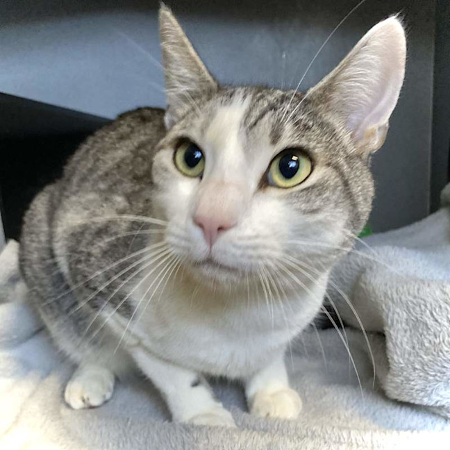 Photo of Lucky